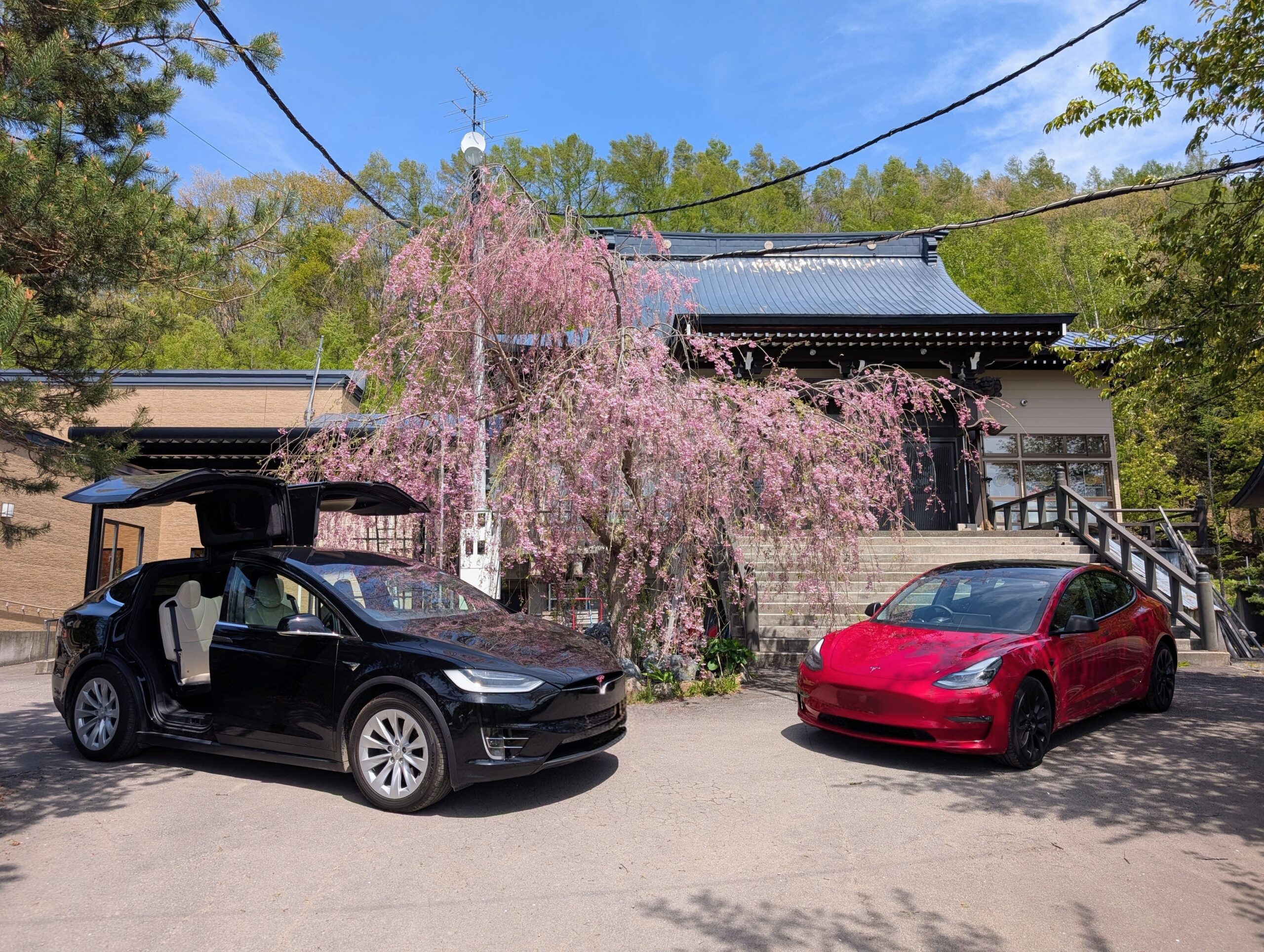 Both Tesla vehicles at Jokoji Temple