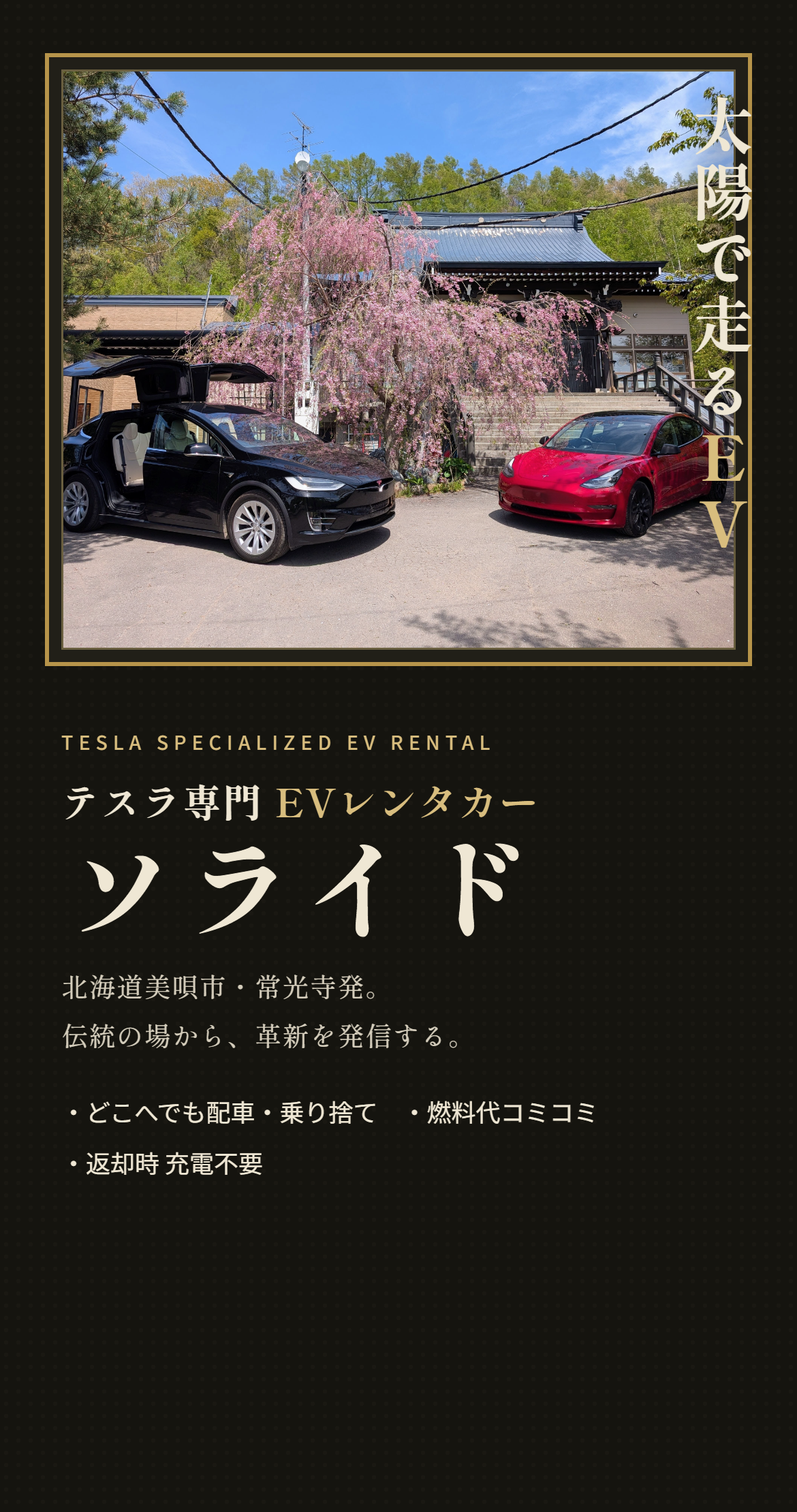 ソライド テスラ専門EVレンタカー