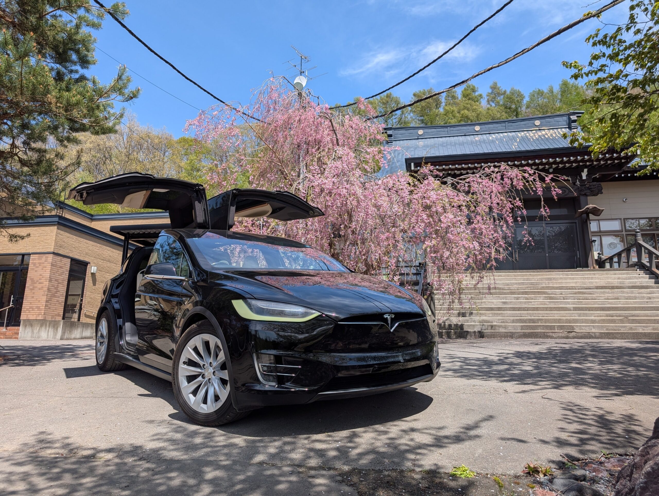Tesla Model X at Jokoji Temple